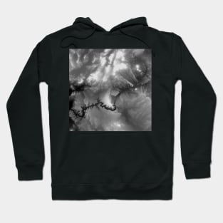 Grand Canyon 4 Hoodie